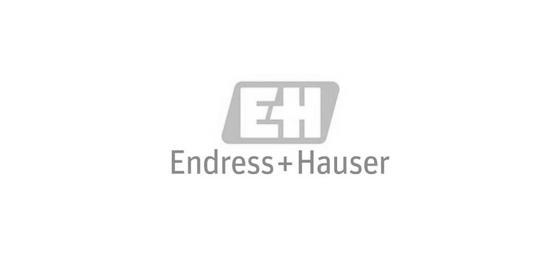 logo-endress